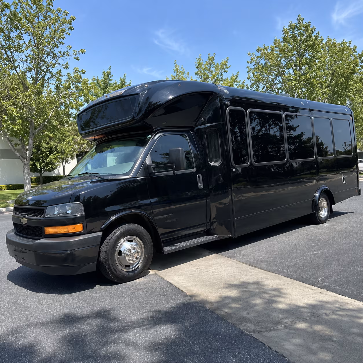 raleigh 15 passenger party bus